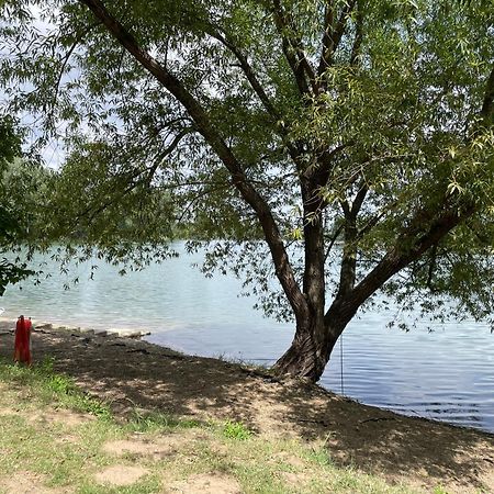 Camping Oaza Bela Crkva  Zewnętrze zdjęcie