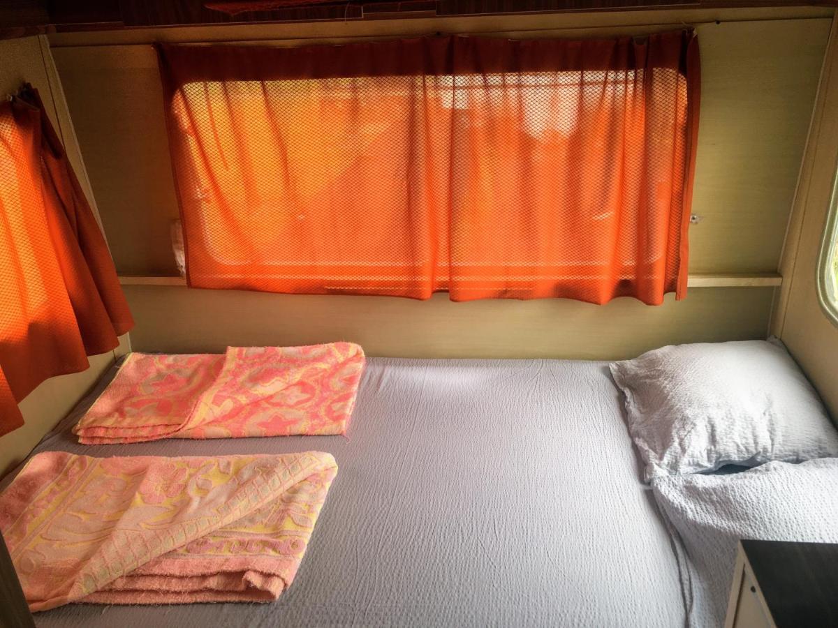 Camping Oaza Bela Crkva  Zewnętrze zdjęcie