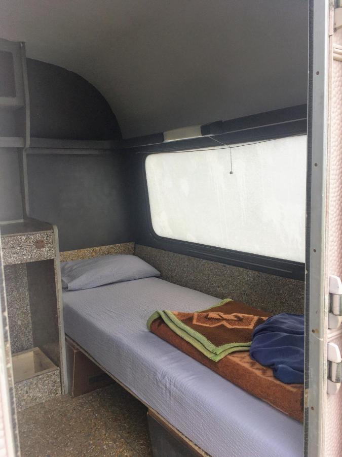 Camping Oaza Bela Crkva  Zewnętrze zdjęcie