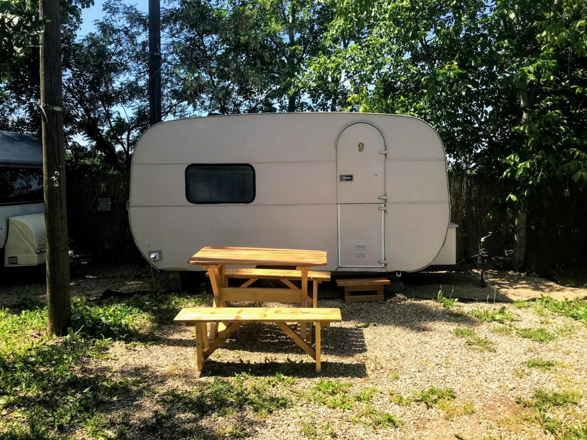 Camping Oaza Bela Crkva  Zewnętrze zdjęcie