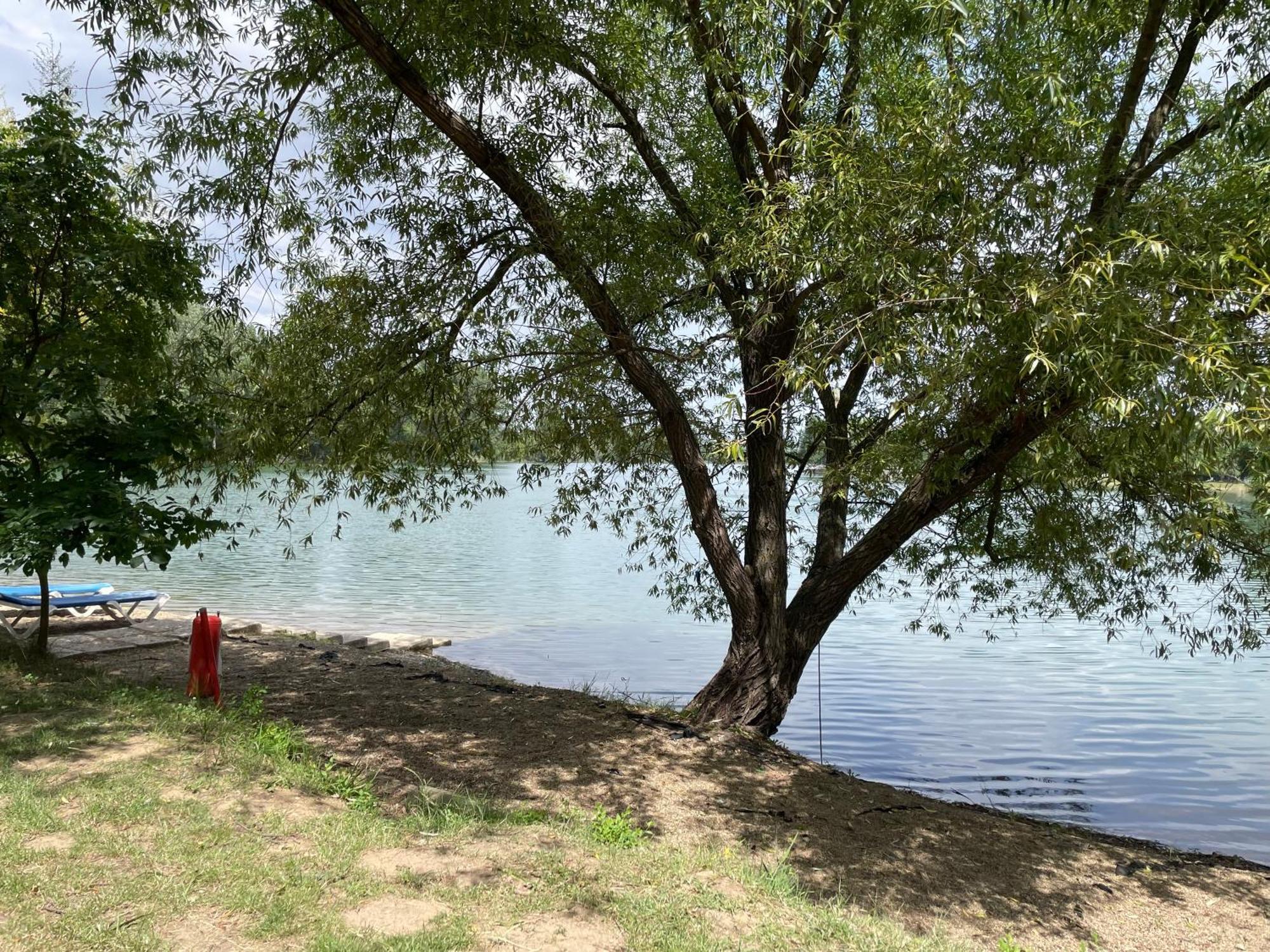 Camping Oaza Bela Crkva  Zewnętrze zdjęcie