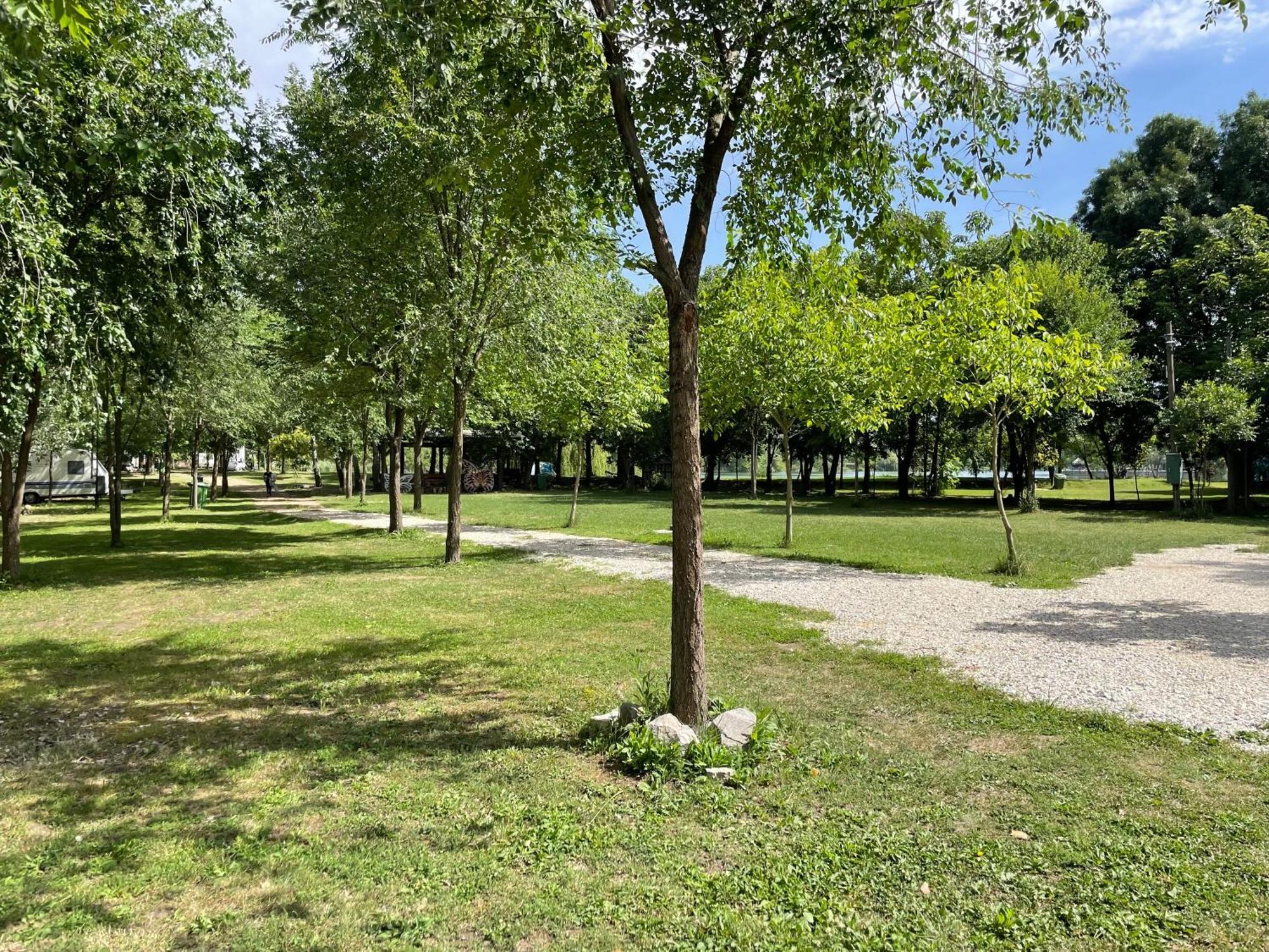Camping Oaza Bela Crkva  Zewnętrze zdjęcie