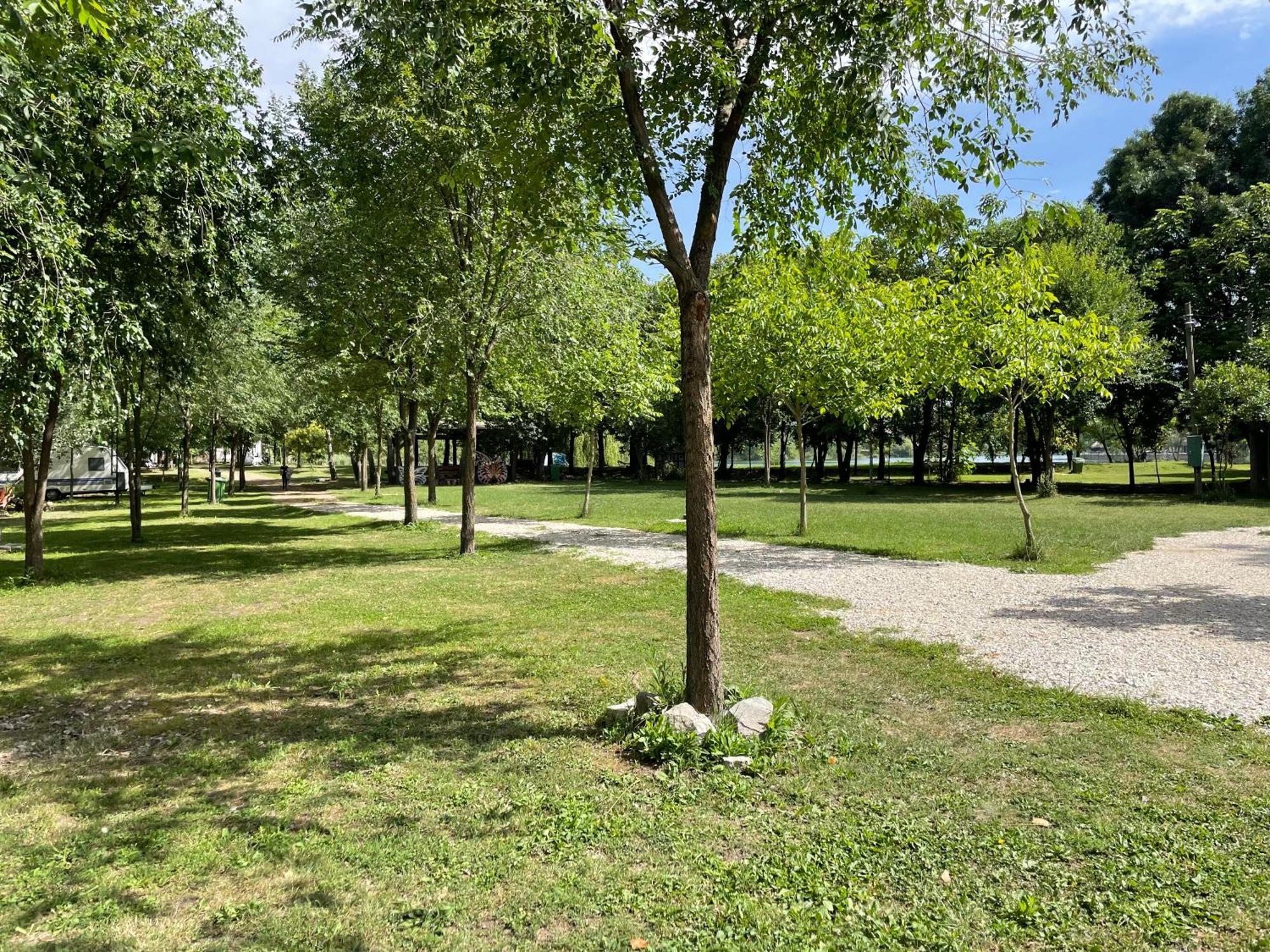 Camping Oaza Bela Crkva  Zewnętrze zdjęcie