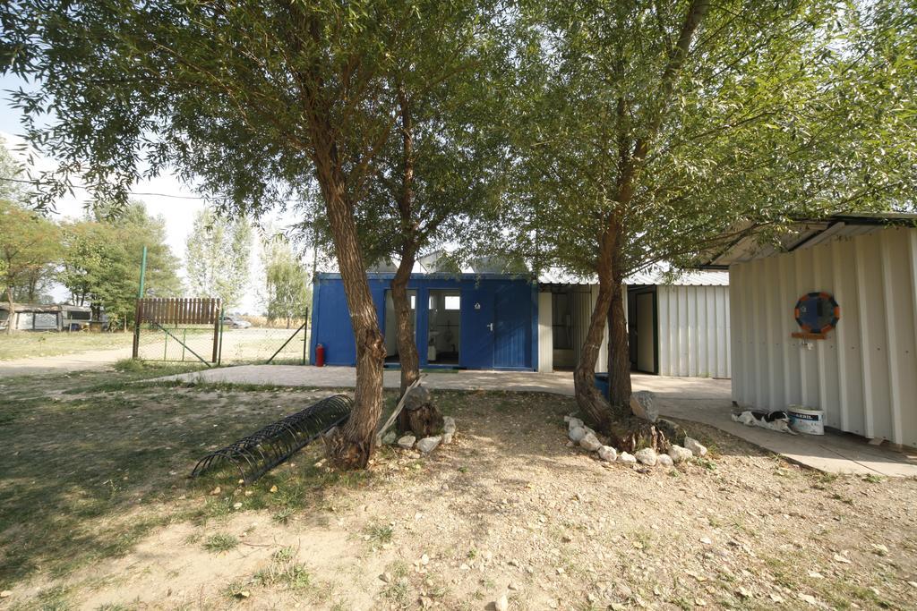 Camping Oaza Bela Crkva  Zewnętrze zdjęcie